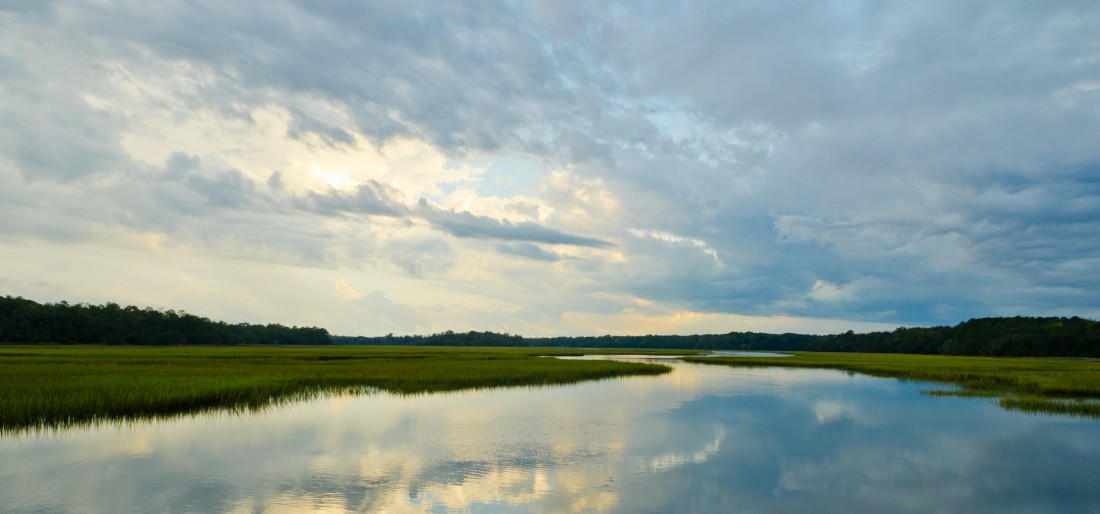 South Carolina lowcountry